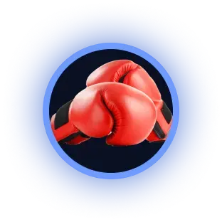 Boxing glove icon